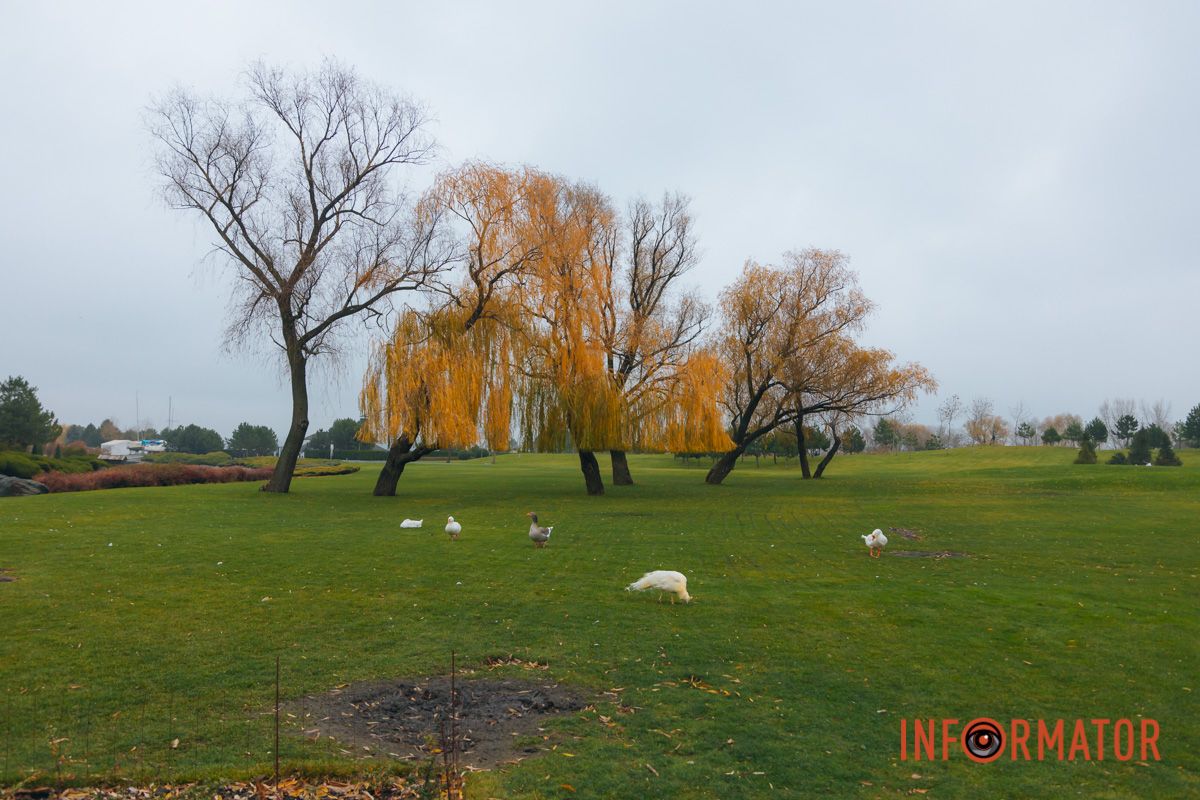 Словно окунул в покрывало: правый берег Днепра покрыл густой туман 7