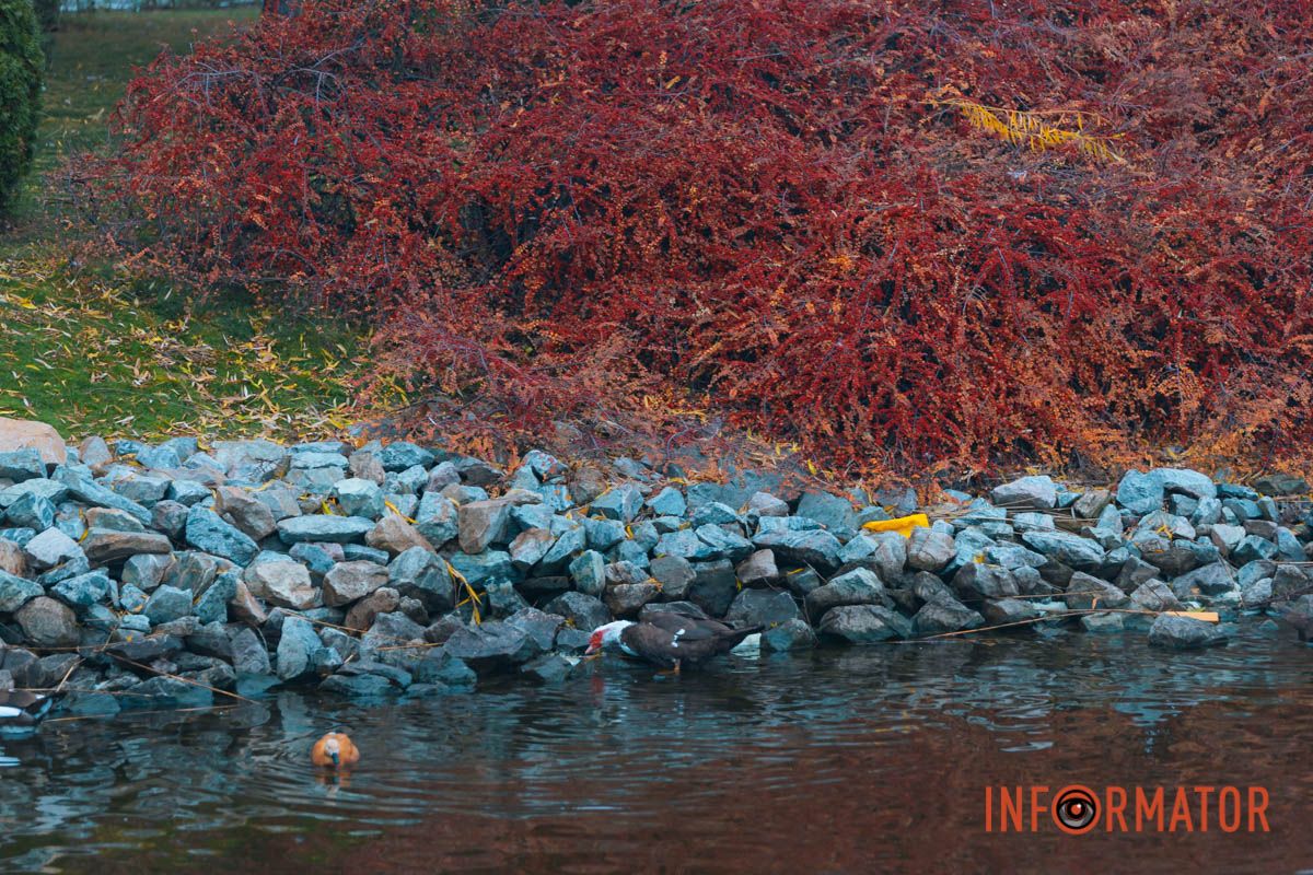 Словно окунул в покрывало: правый берег Днепра покрыл густой туман 12