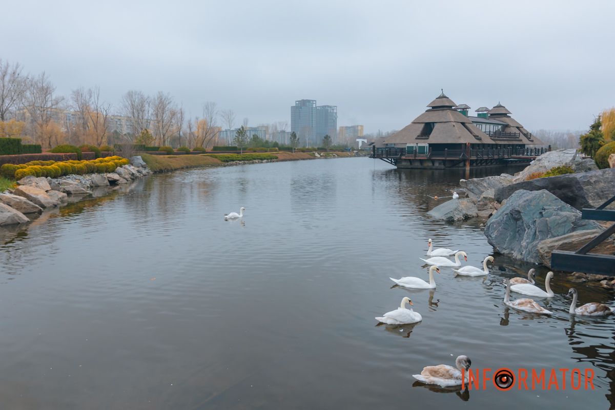 Словно окунул в покрывало: правый берег Днепра покрыл густой туман 24