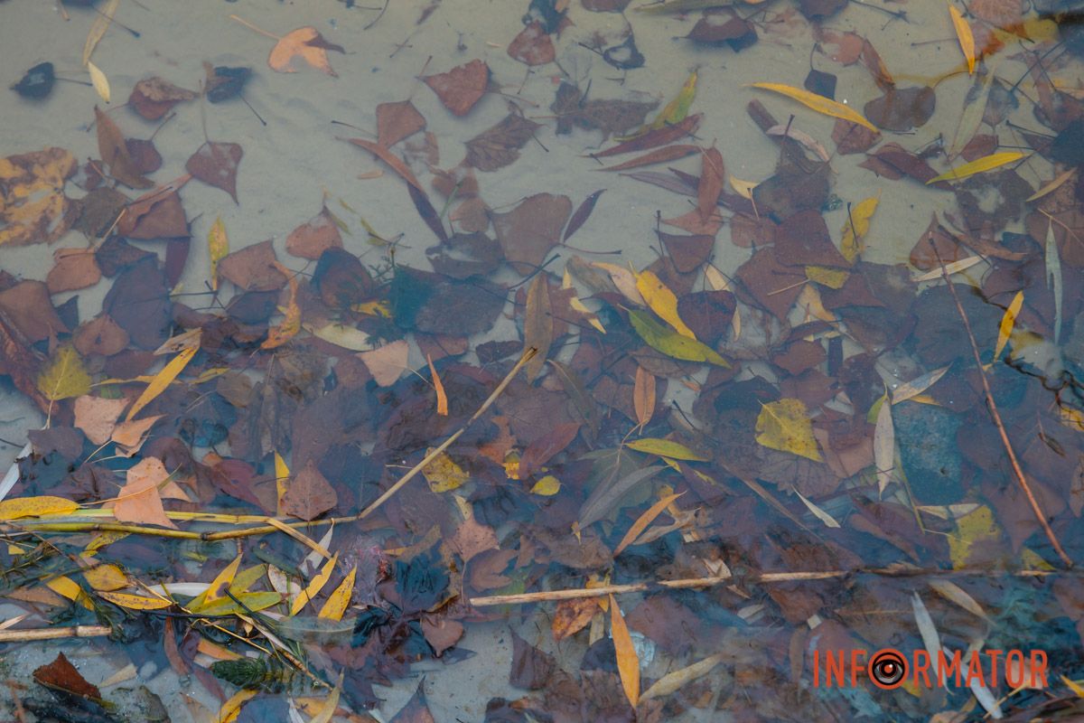 Словно окунул в покрывало: правый берег Днепра покрыл густой туман 28