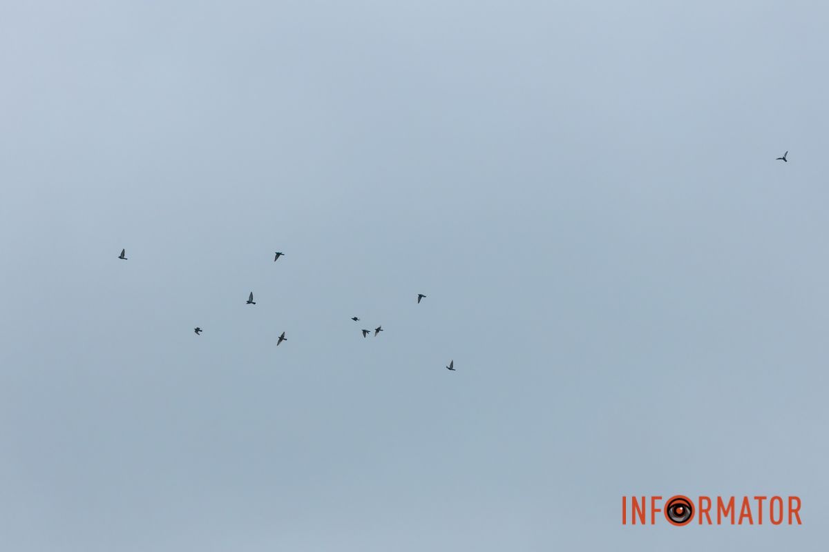 Словно окунул в покрывало: правый берег Днепра покрыл густой туман 38