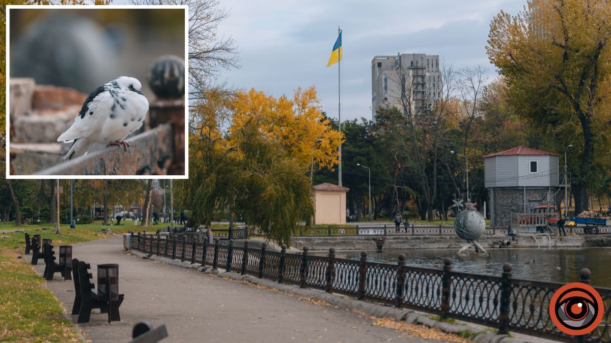 Погода на 4 грудня: у Дніпрі сонце сховається за хмарами