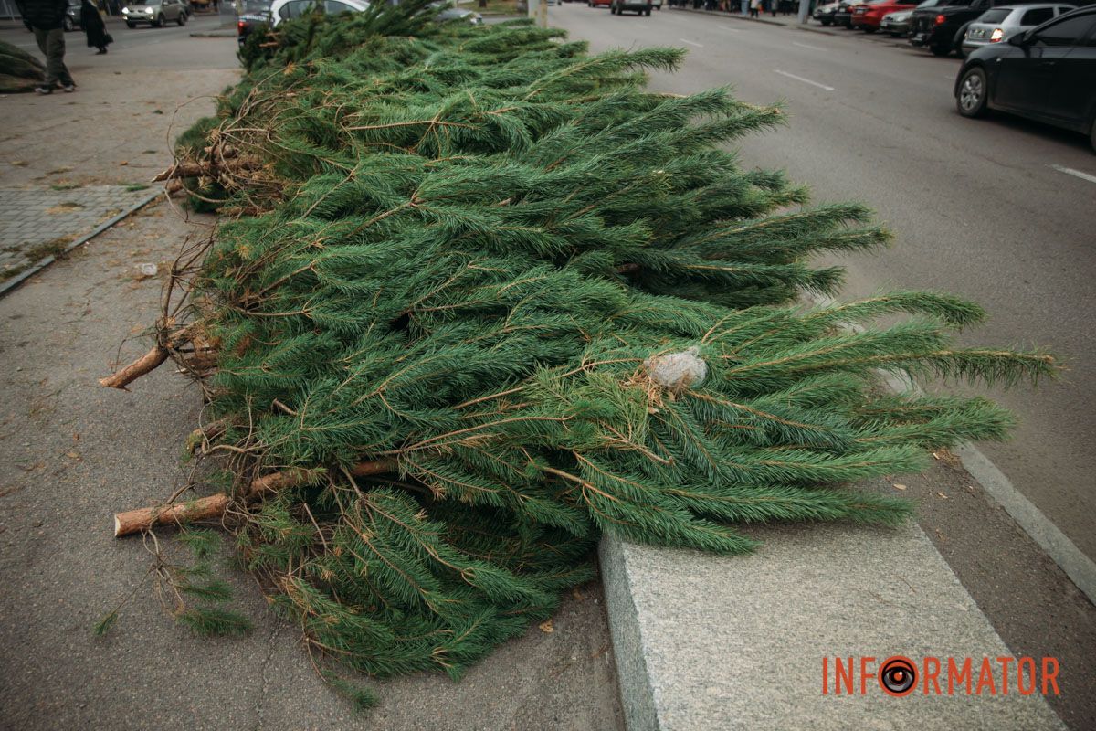 До двох тисяч гривень за дерево: у Дніпрі на проспекті Поля продають ялинки 17
