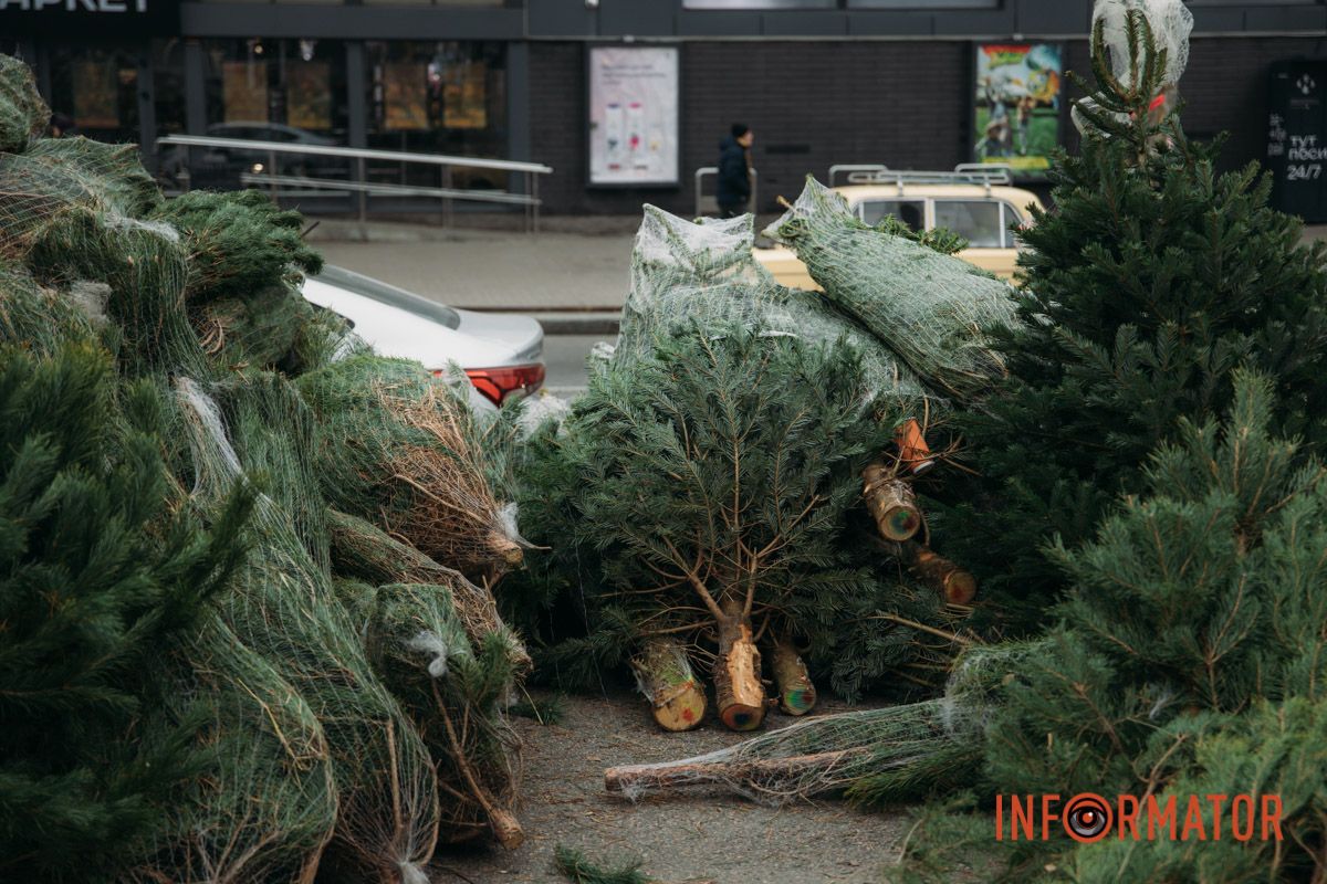 До двох тисяч гривень за дерево: у Дніпрі на проспекті Поля продають ялинки 16