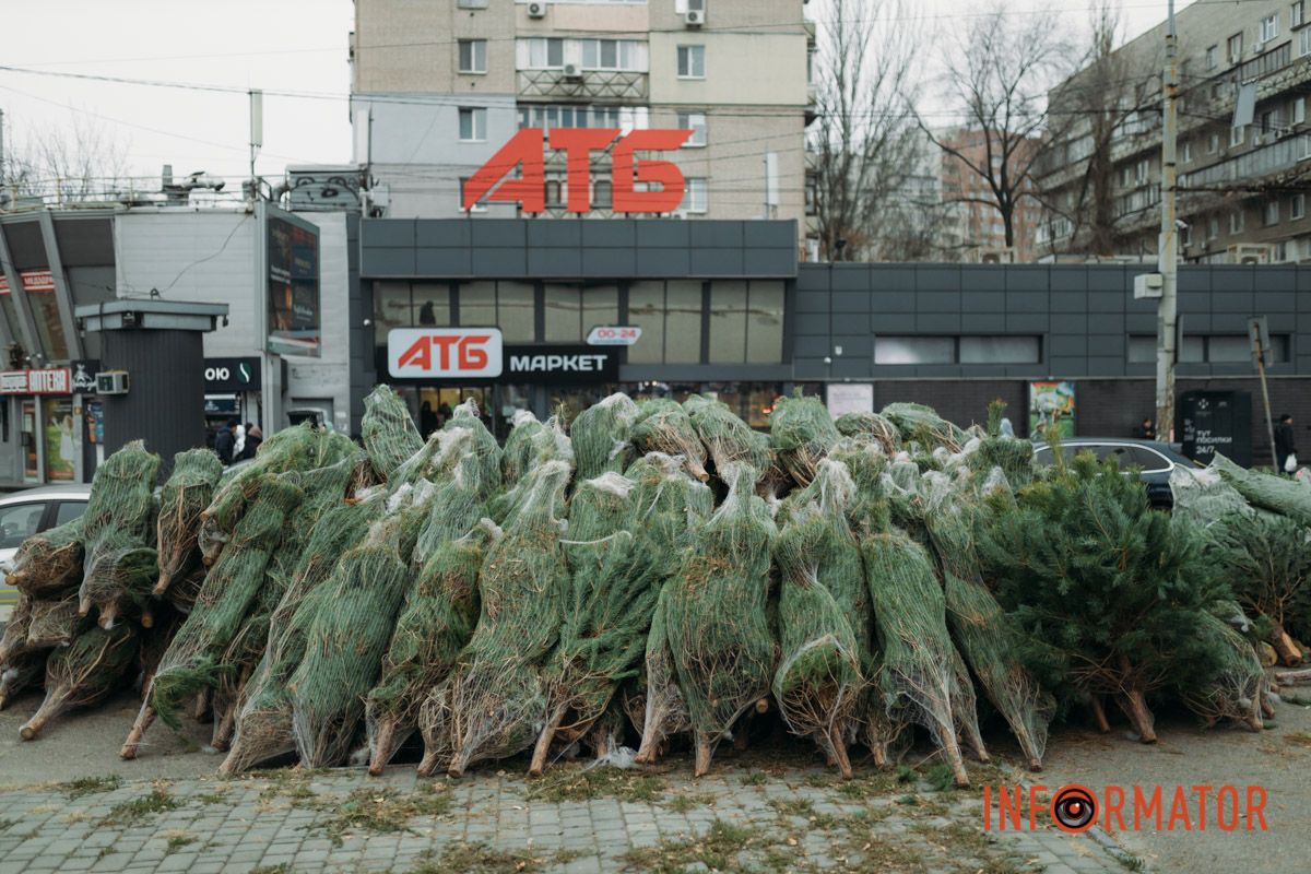 До двох тисяч гривень за дерево: у Дніпрі на проспекті Поля продають ялинки 10