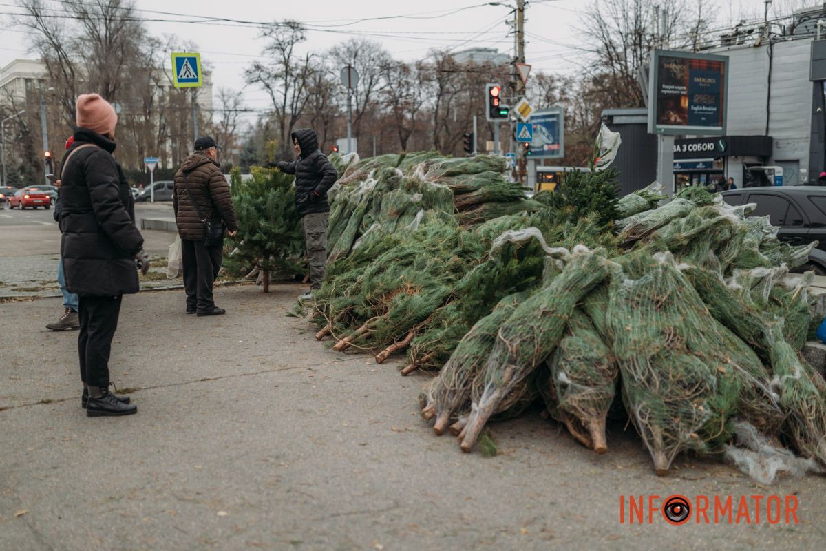До двох тисяч гривень за дерево: у Дніпрі на проспекті Поля продають ялинки 15