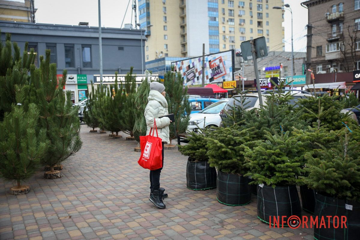 Цены начинаются от 200 гривен Цены растут и шокируют: сколько стоят новогодние елки на