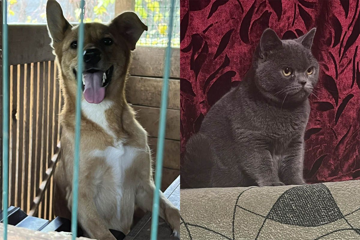 Они ждут именно вас! Они ждут именно вас!