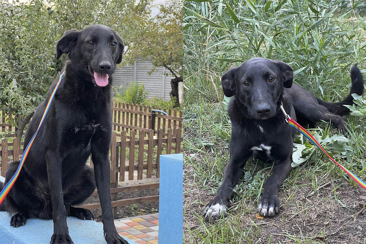 Только посмотрите в эти глазки Только посмотрите в эти глазки