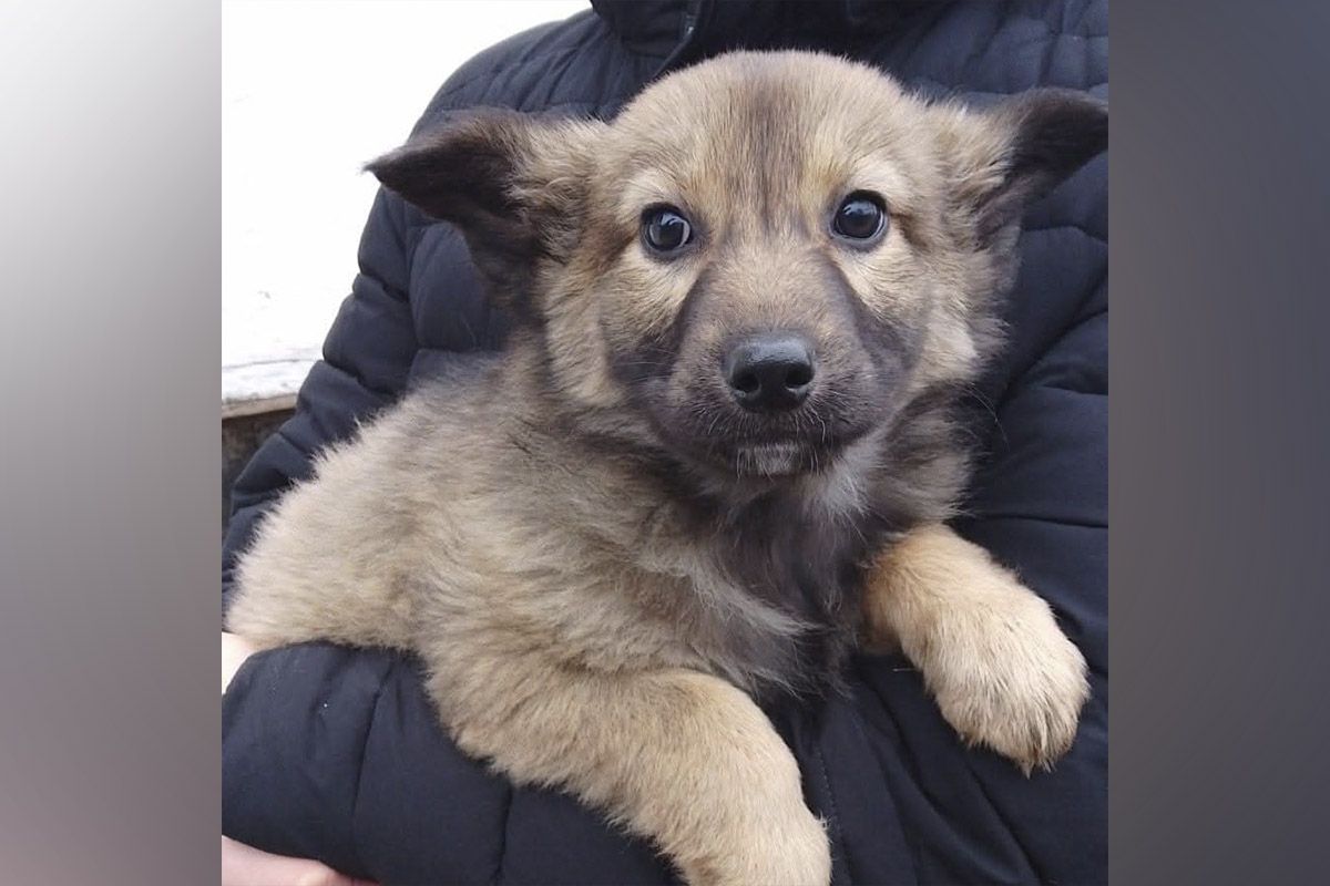 Два хлопчики та три дівчинки 