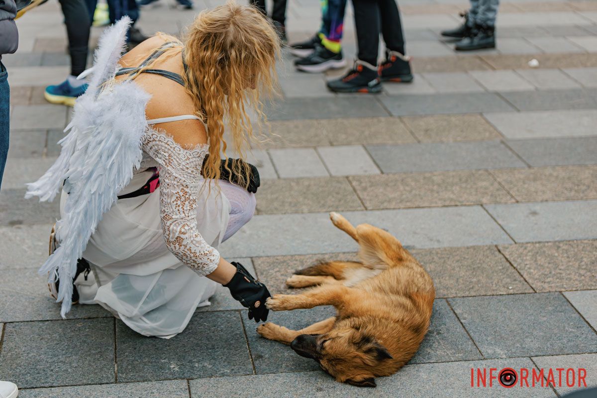У Дніпрі 8 грудня пройшов традиційний благодійний забіг Миколайчиків 4