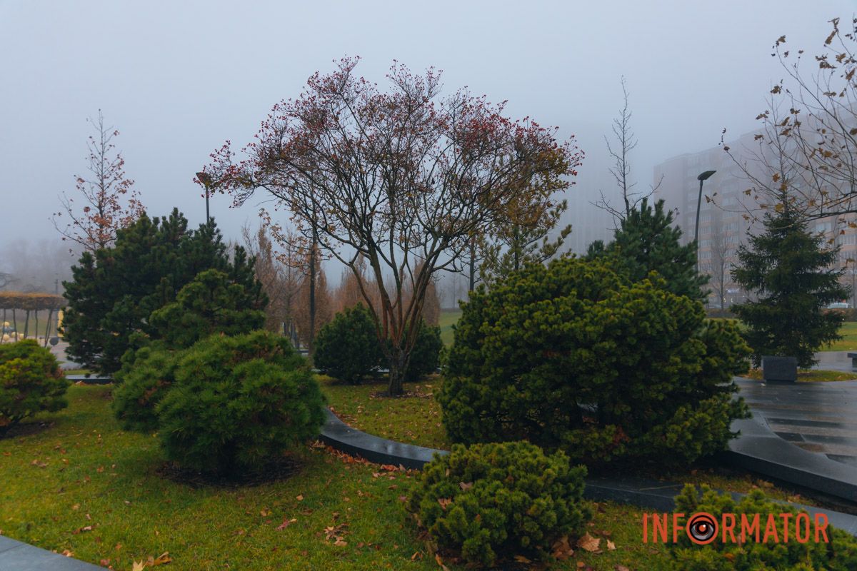 Ґотем чи Сайлент Хілл: Дніпро «потонув» у тумані 8