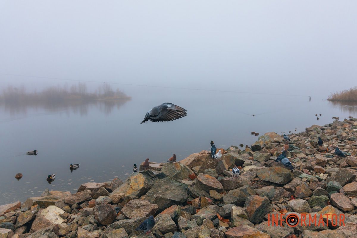 Ґотем чи Сайлент Хілл: Дніпро «потонув» у тумані 31