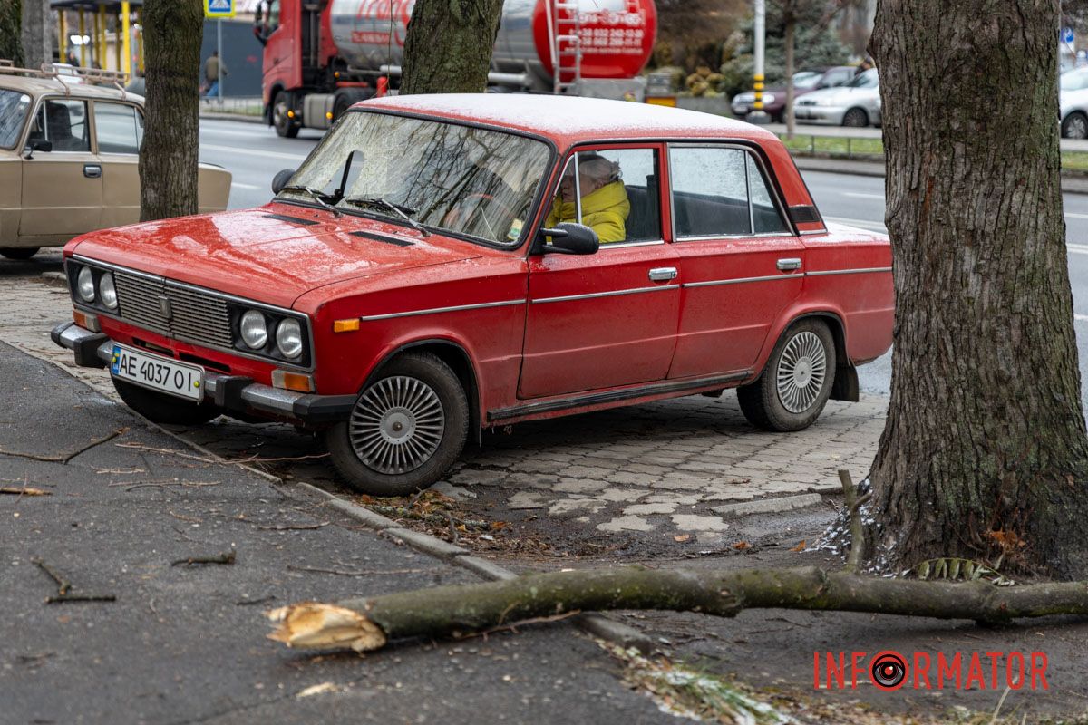 Пробила лобове скло: у Дніпрі на Незалежній величезна гілка впала на ВАЗ 14