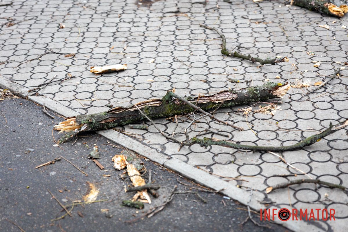 Пробила лобове скло: у Дніпрі на Незалежній величезна гілка впала на ВАЗ 11