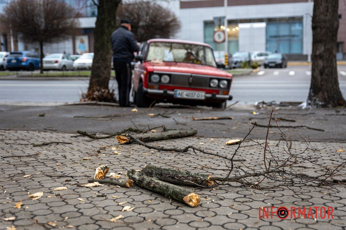 Пробила лобове скло: у Дніпрі на Незалежній величезна гілка впала на ВАЗ 7