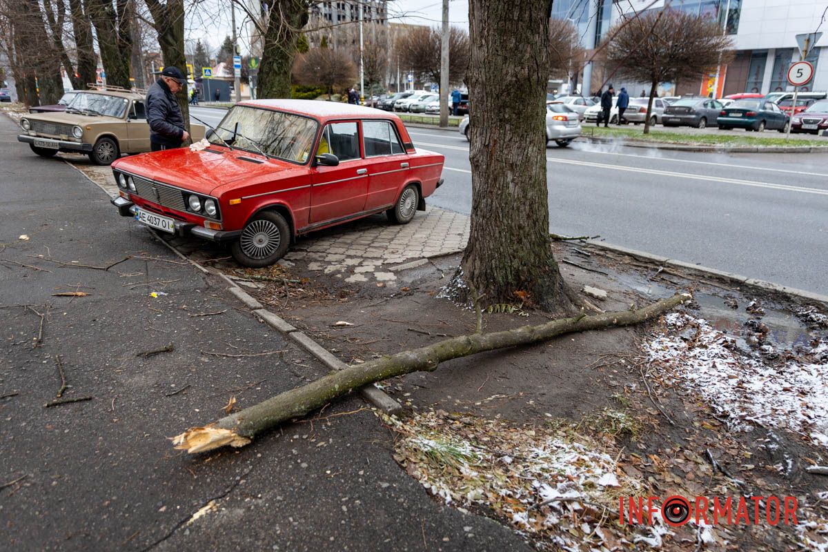 Пробила лобове скло: у Дніпрі на Незалежній величезна гілка впала на ВАЗ 6