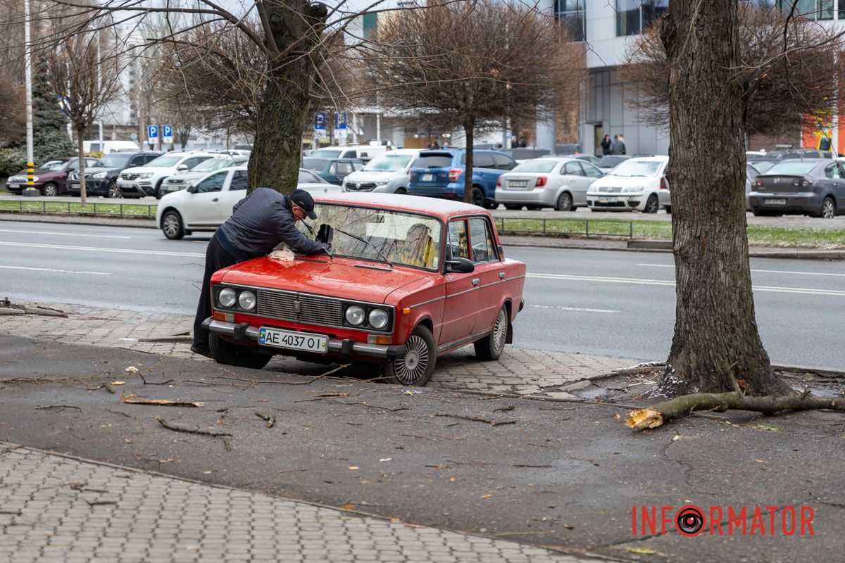 Пробила лобове скло: у Дніпрі на Незалежній величезна гілка впала на ВАЗ 4