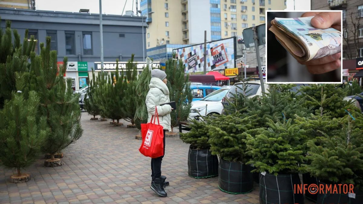 В Днепре начали проверять елочные базары: как избежать штрафа