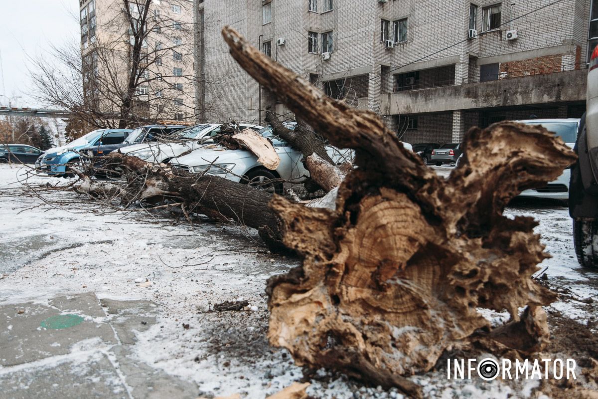 На щастя, нікого з людей не зачепило