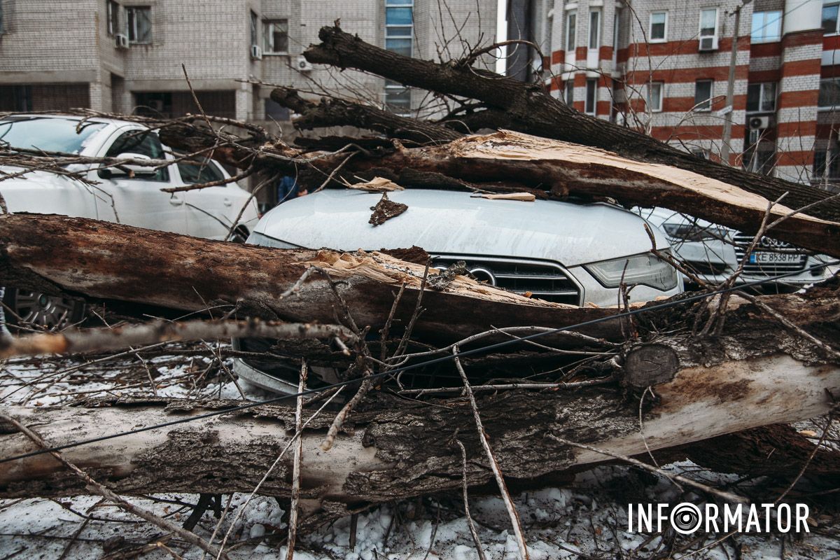 Дерево зімяло автівці дах та пробило лобове скло