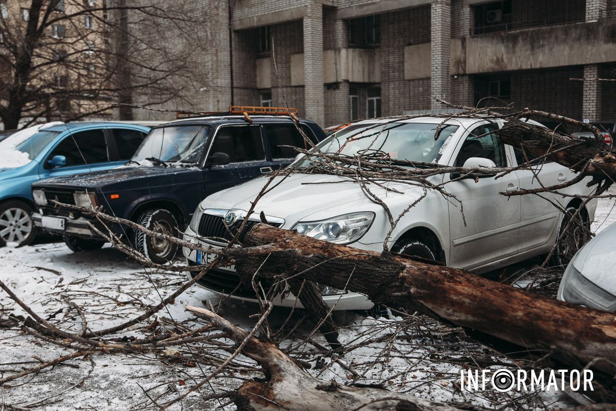 Поряд з Audi стоять Skoda і ВАЗ
