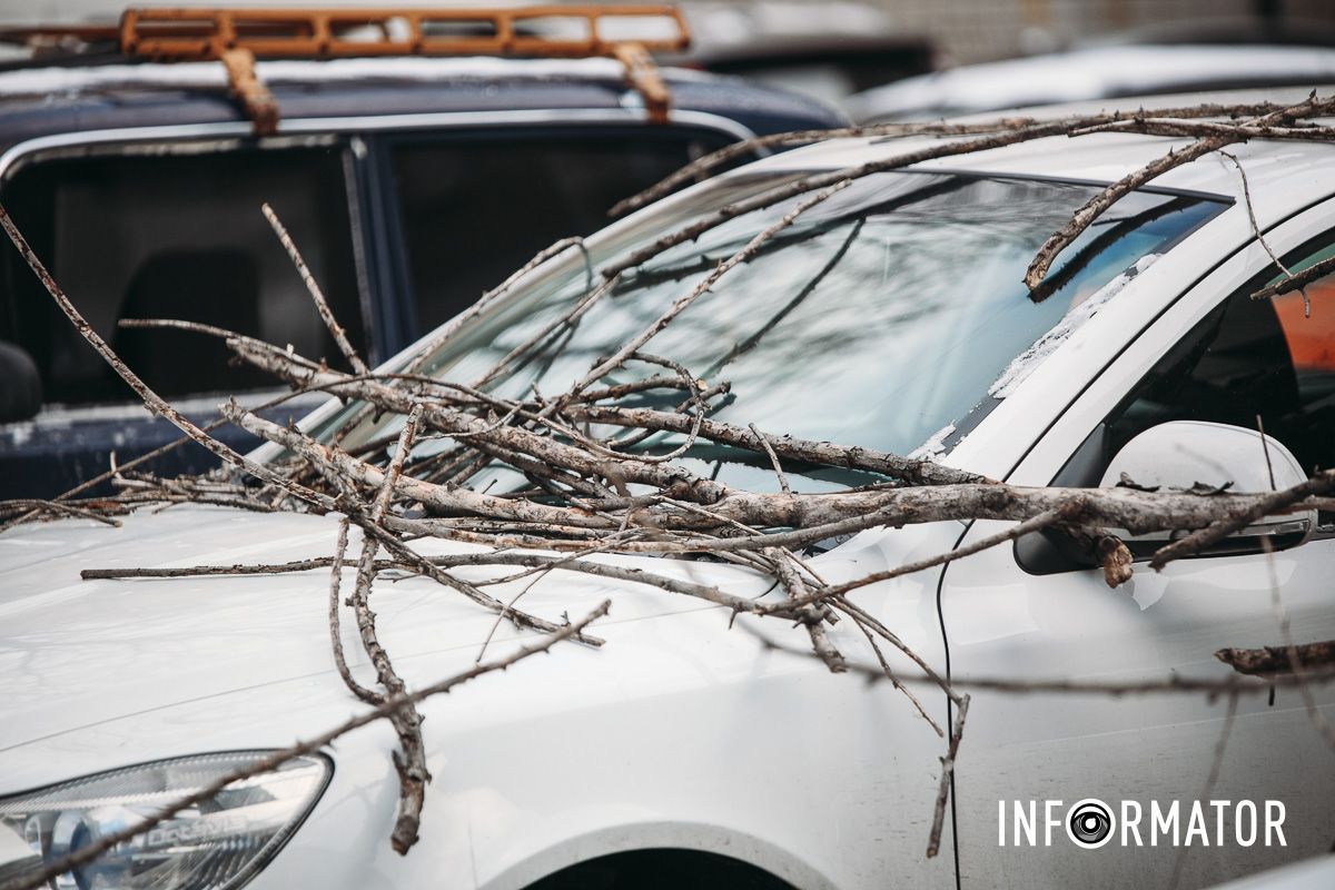 Ці машини присипало гілками падаючого дерева