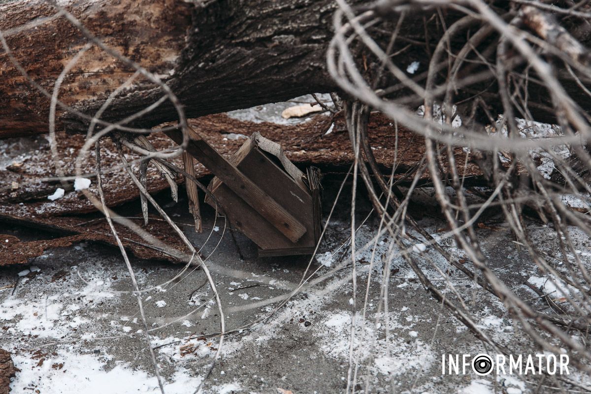 Гілки та уламки розкидало навколо