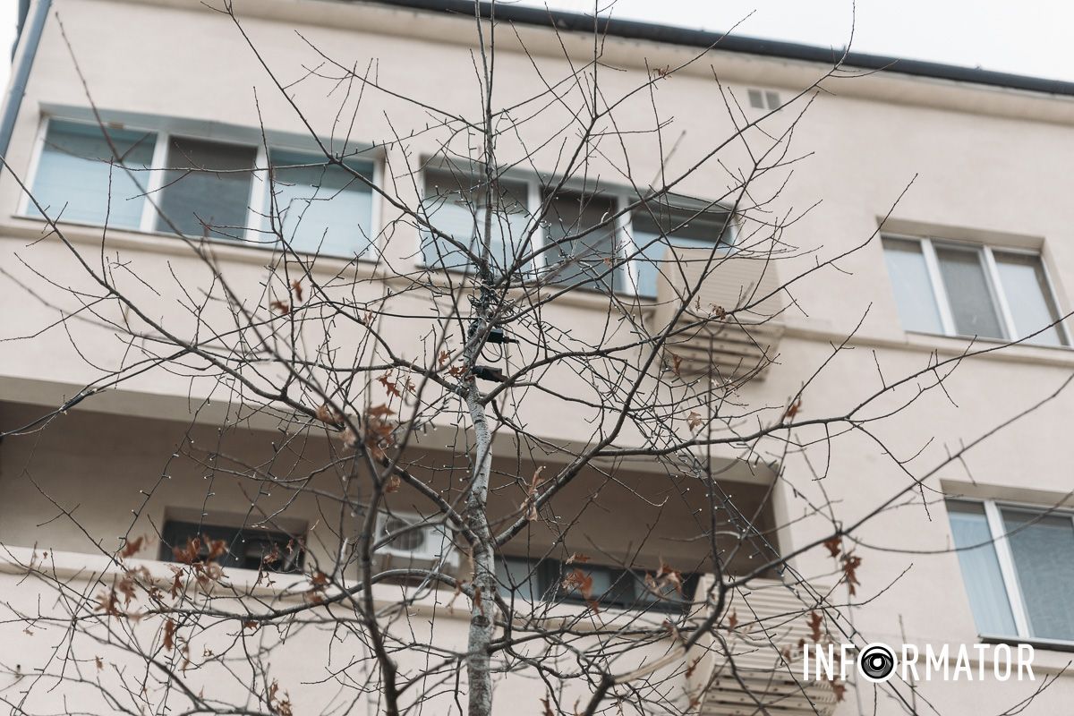 Тепер прикрашають дерева: у Дніпрі на вулиці Яворницького встановлюють новорічну ілюмінацію 13