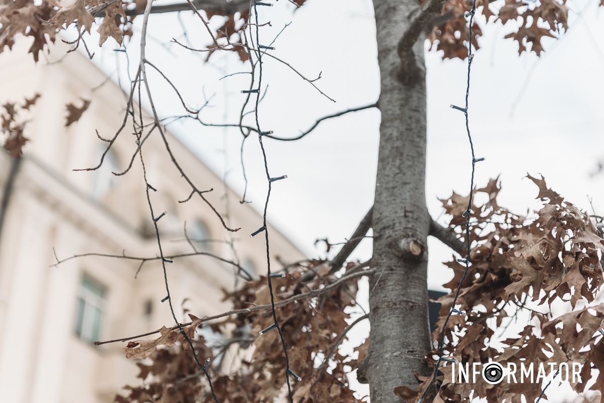 Тепер прикрашають дерева: у Дніпрі на вулиці Яворницького встановлюють новорічну ілюмінацію 9