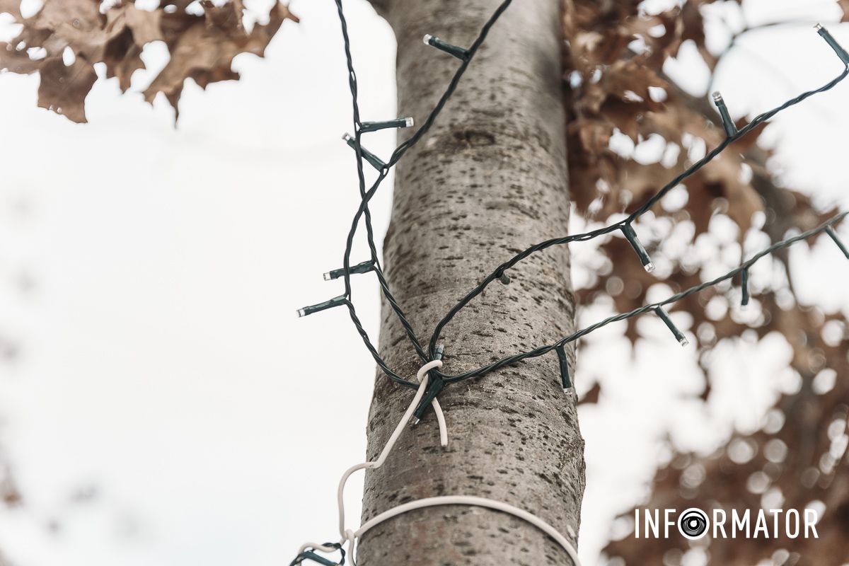 Тепер прикрашають дерева: у Дніпрі на вулиці Яворницького встановлюють новорічну ілюмінацію 5