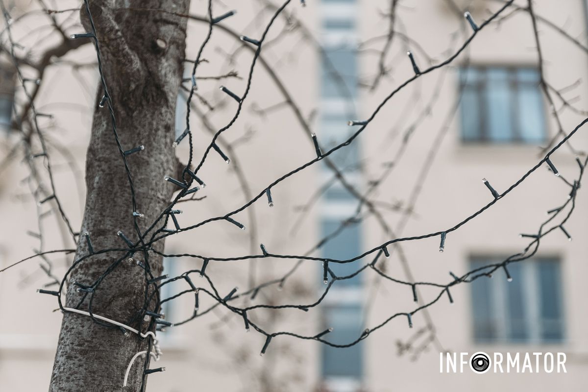 Тепер прикрашають дерева: у Дніпрі на вулиці Яворницького встановлюють новорічну ілюмінацію 2