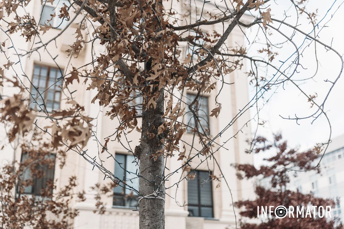 Тепер прикрашають дерева: у Дніпрі на вулиці Яворницького встановлюють новорічну ілюмінацію 1