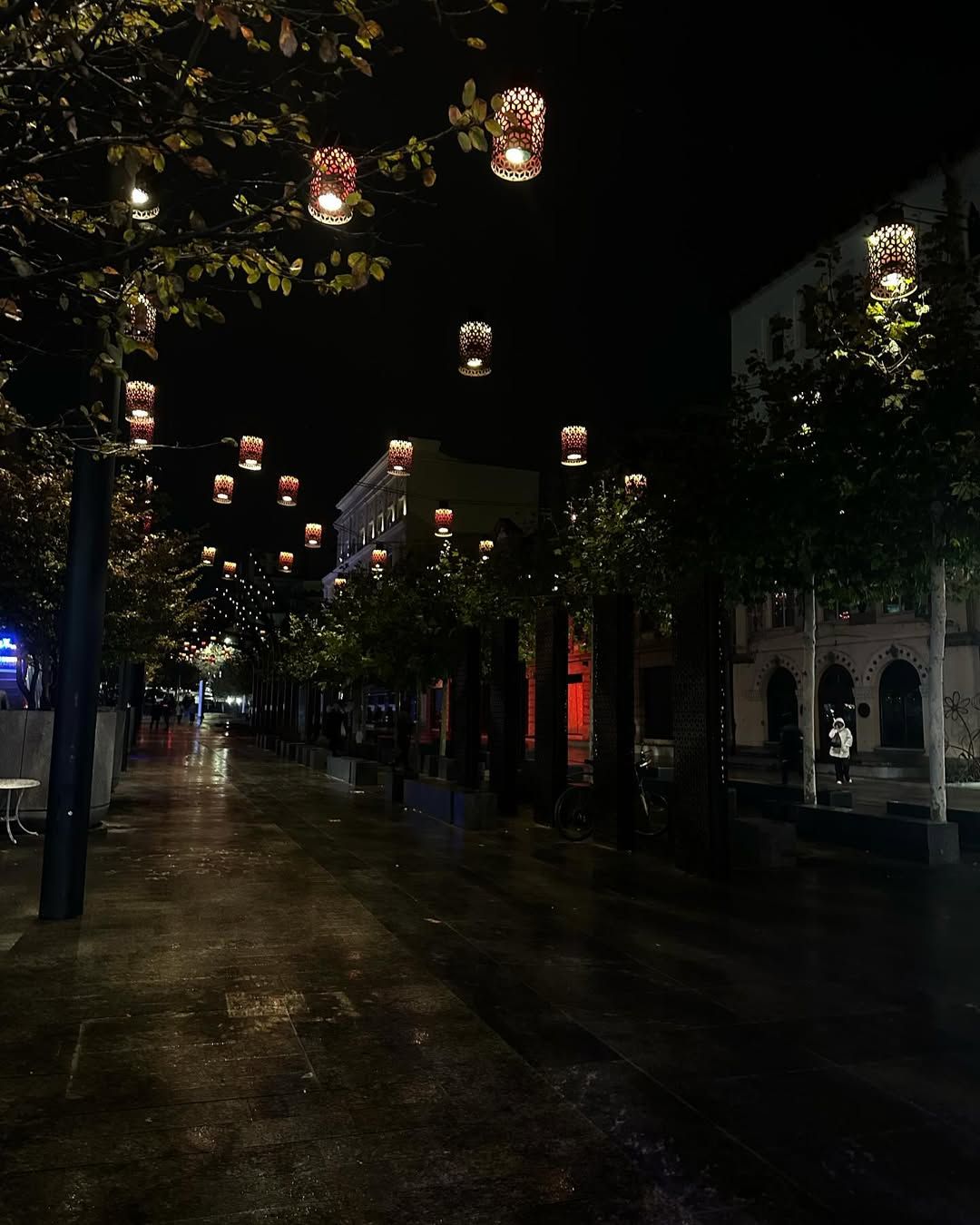 marina__polyhalova marina__polyhalova