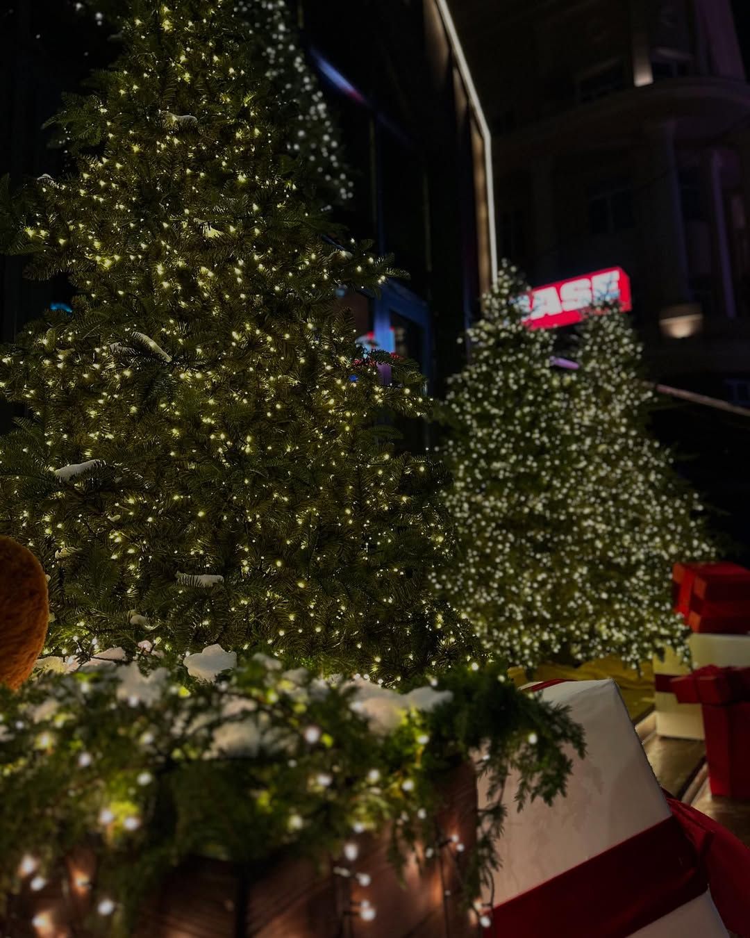 _anna_bondarenko _anna_bondarenko