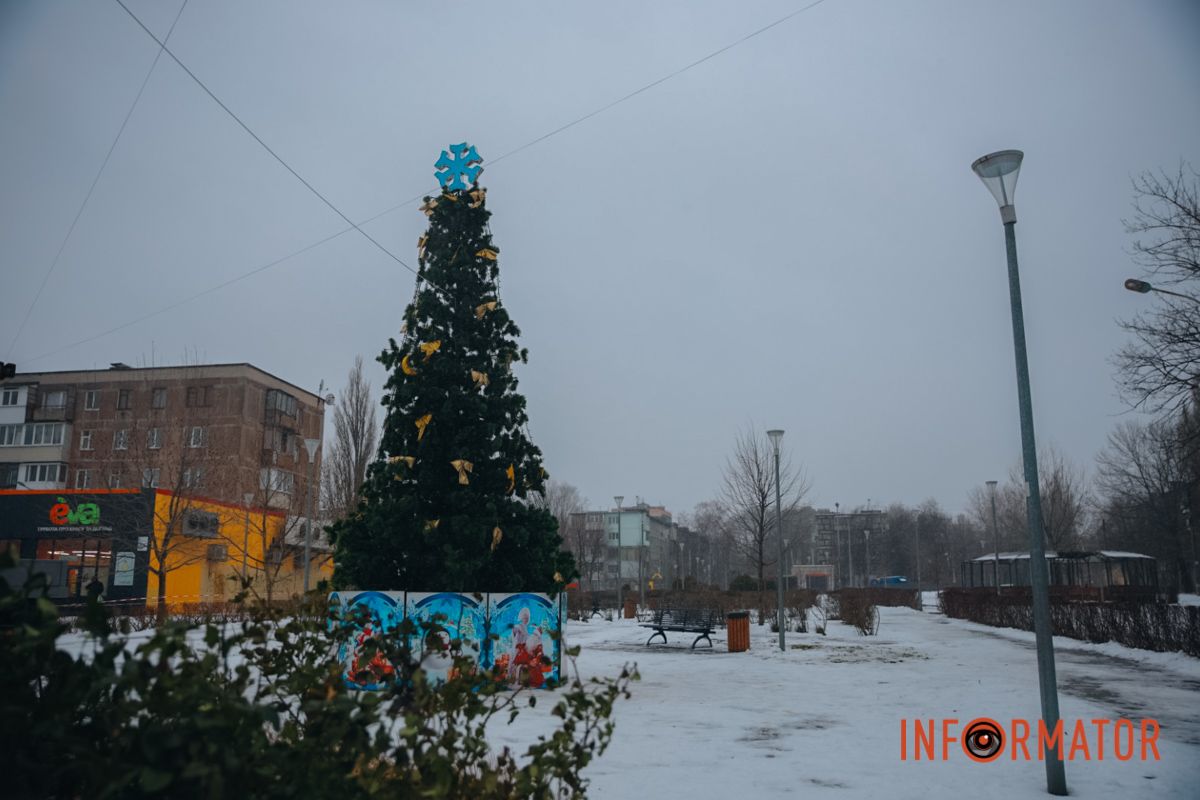 У Дніпрі у сквері на Західному прикрасили новорічну ялинку: як вона виглядає 14