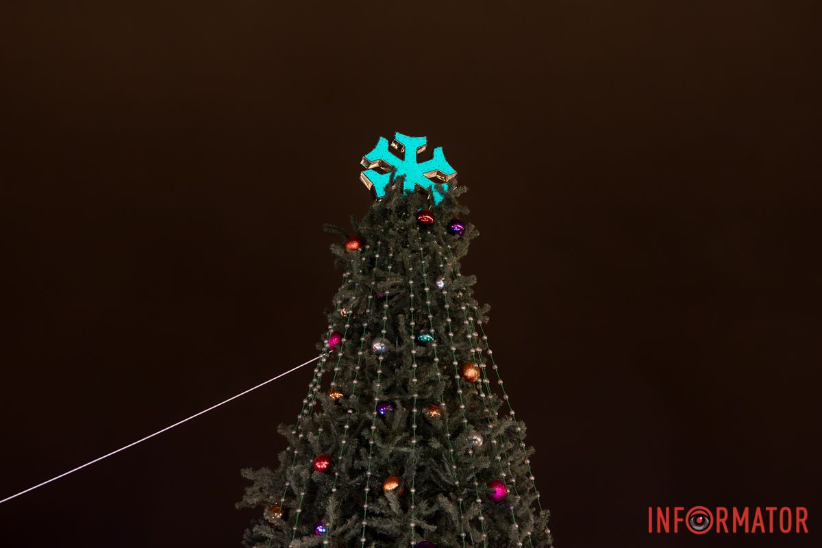 Верховка елки В Днепре в Прибрежном сквере установили новогоднюю елку: как она выглядит 4