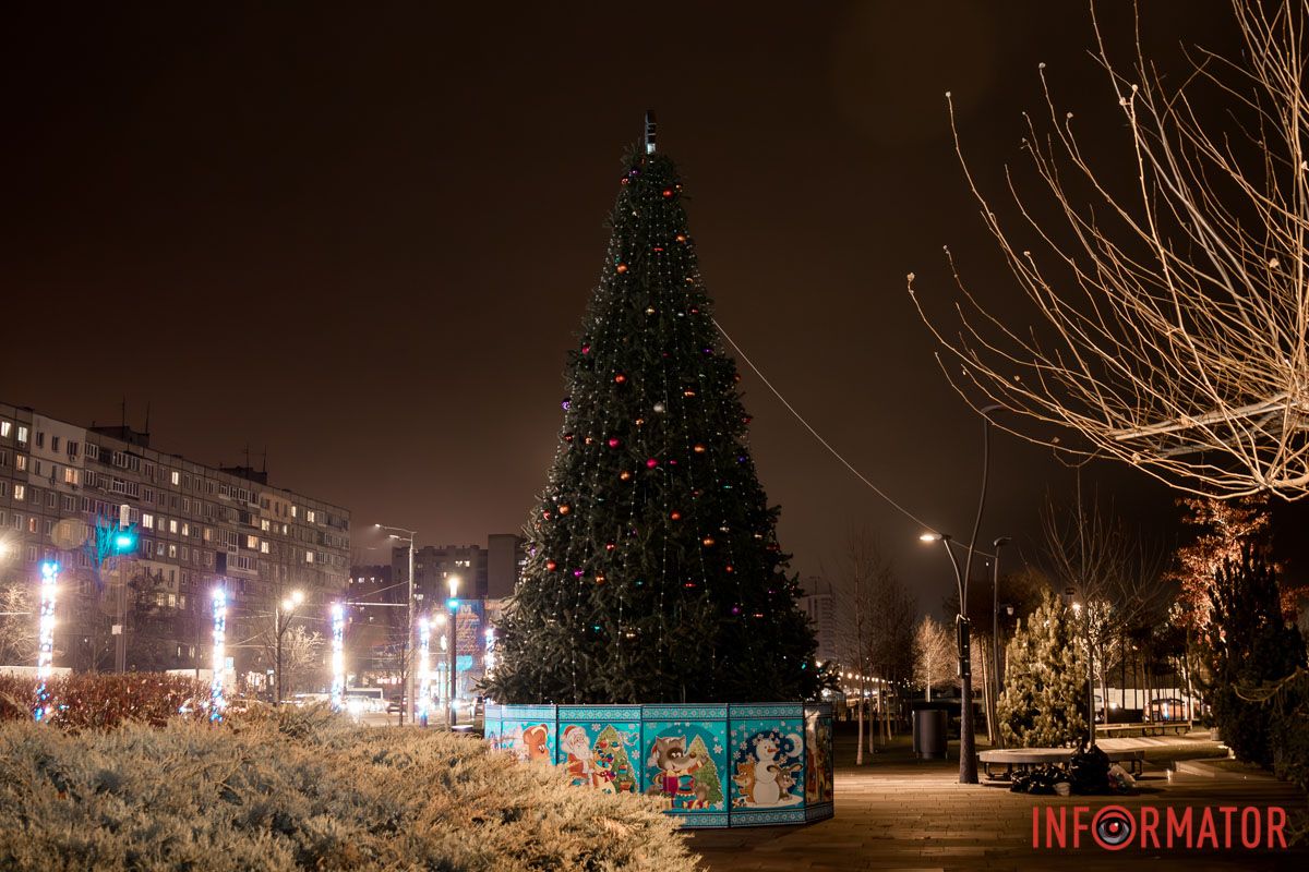 Одна из новогодних локаций в парке В Днепре в Прибрежном сквере установили новогоднюю елку: как она выглядит 6