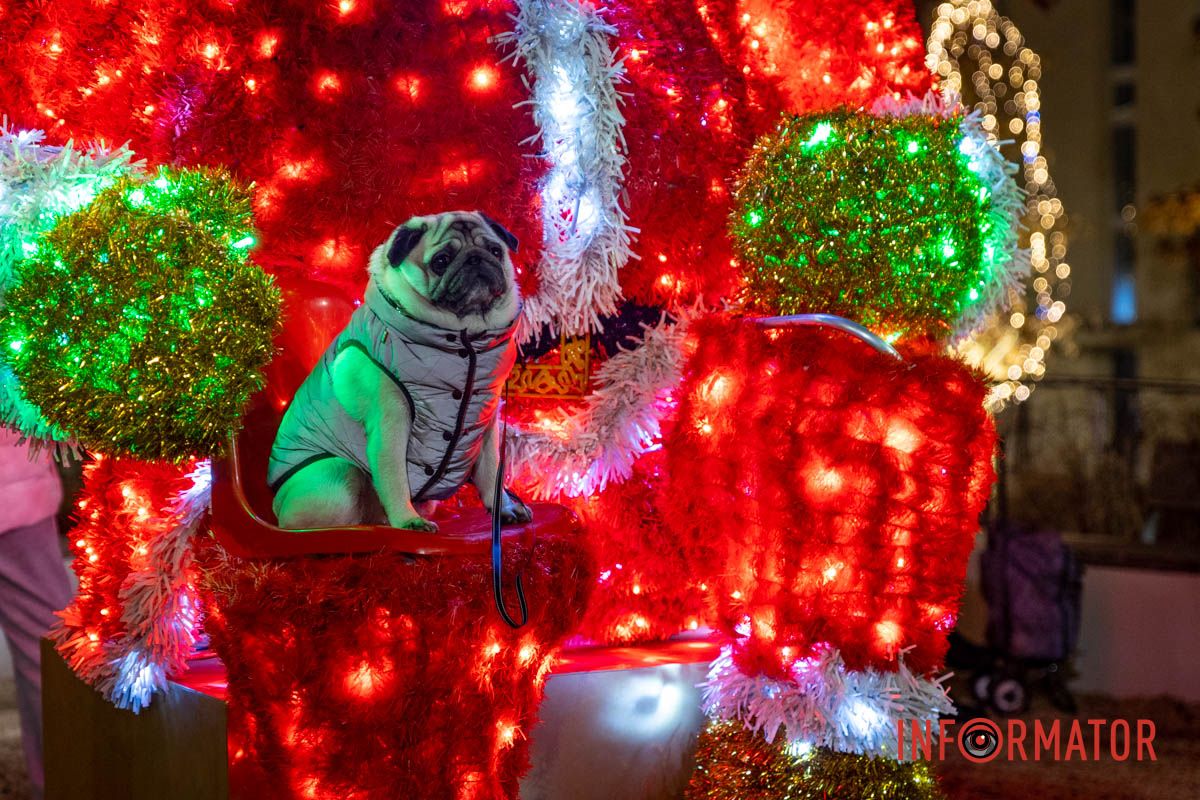 Огромный Санта Клаус и гирлянды на деревьях: как выглядит улица Яворницкого в Днепре 18