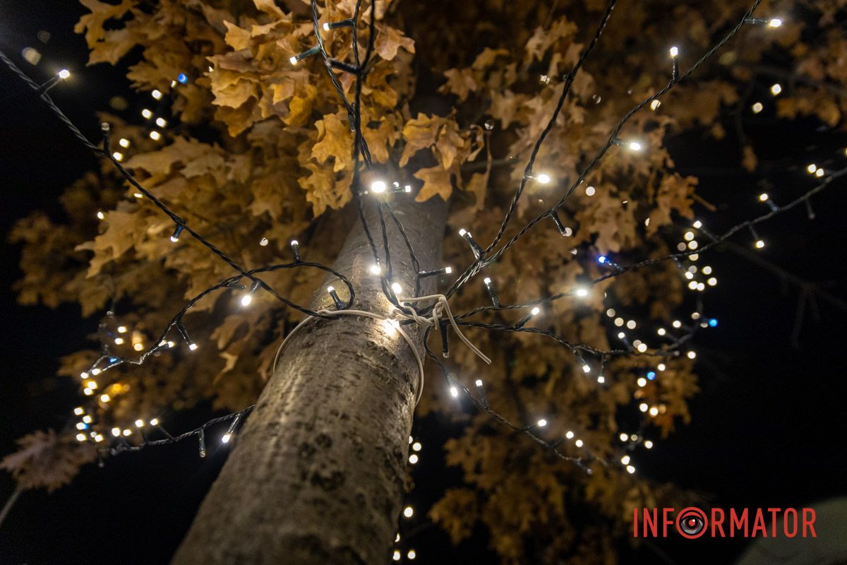 Огромный Санта Клаус и гирлянды на деревьях: как выглядит улица Яворницкого в Днепре 20