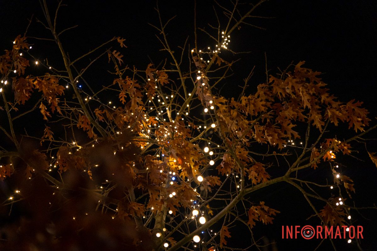 Огромный Санта Клаус и гирлянды на деревьях: как выглядит улица Яворницкого в Днепре 30