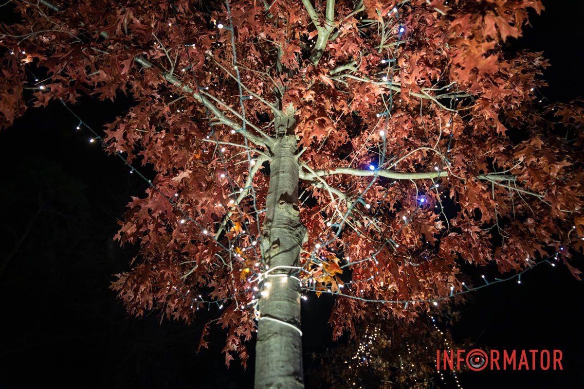 Огромный Санта Клаус и гирлянды на деревьях: как выглядит улица Яворницкого в Днепре 7