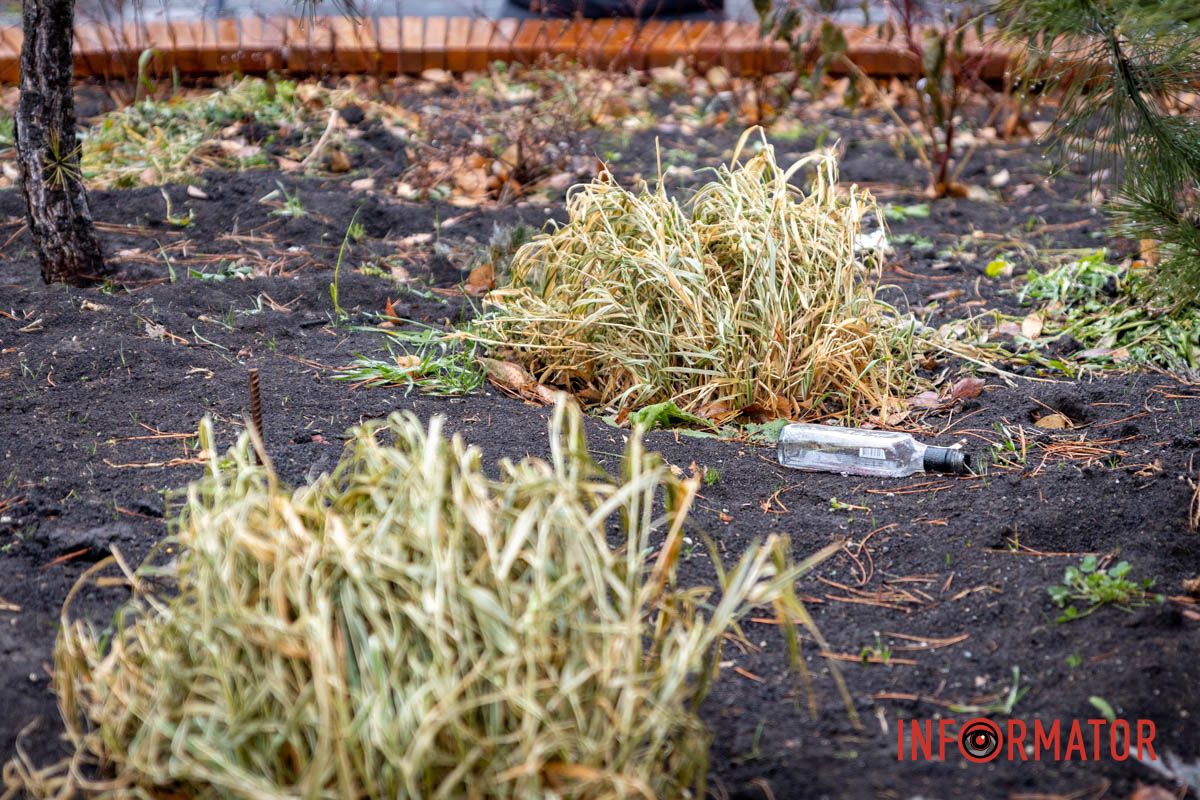 Пустые бутылки из-под алкоголя