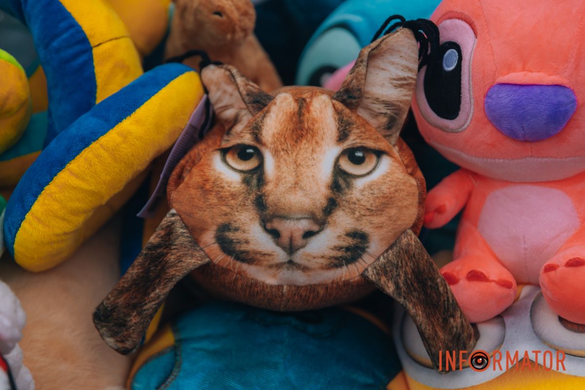 В Днепре у входа в парк Шевченко заработала новогодняя ярмарка с фотозоной: какие цены 13