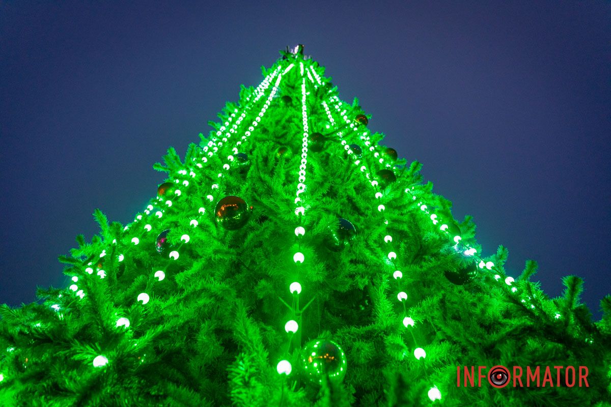Святий Миколай, Ґрінч і тваринки: у сквері Прибережний засяяла новорічна ялинка 4