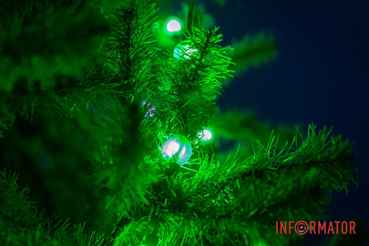 Святий Миколай, Ґрінч і тваринки: у сквері Прибережний засяяла новорічна ялинка 6