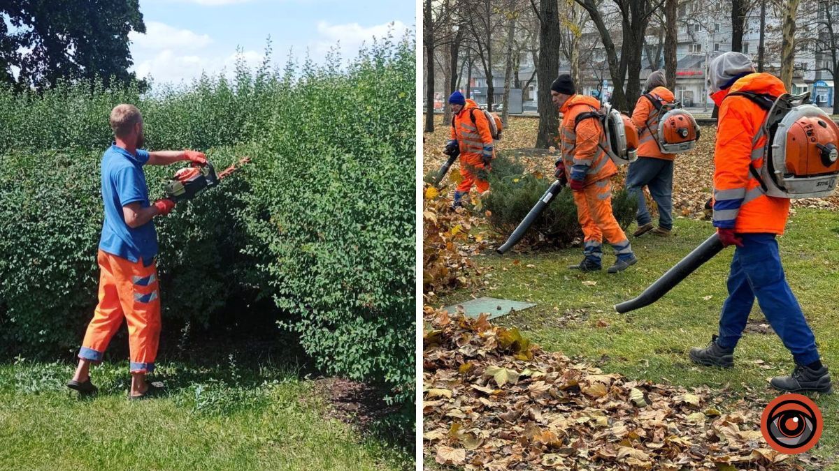 В Днепре планируют потратить более 182 миллионов гривен на содержание зеленых насаждений