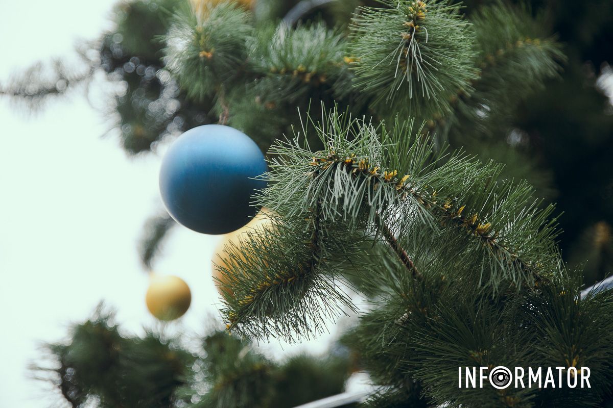 У Дніпрі у Новокодацькому парку встановили новорічну ялинку та урочисто її відкрили 7