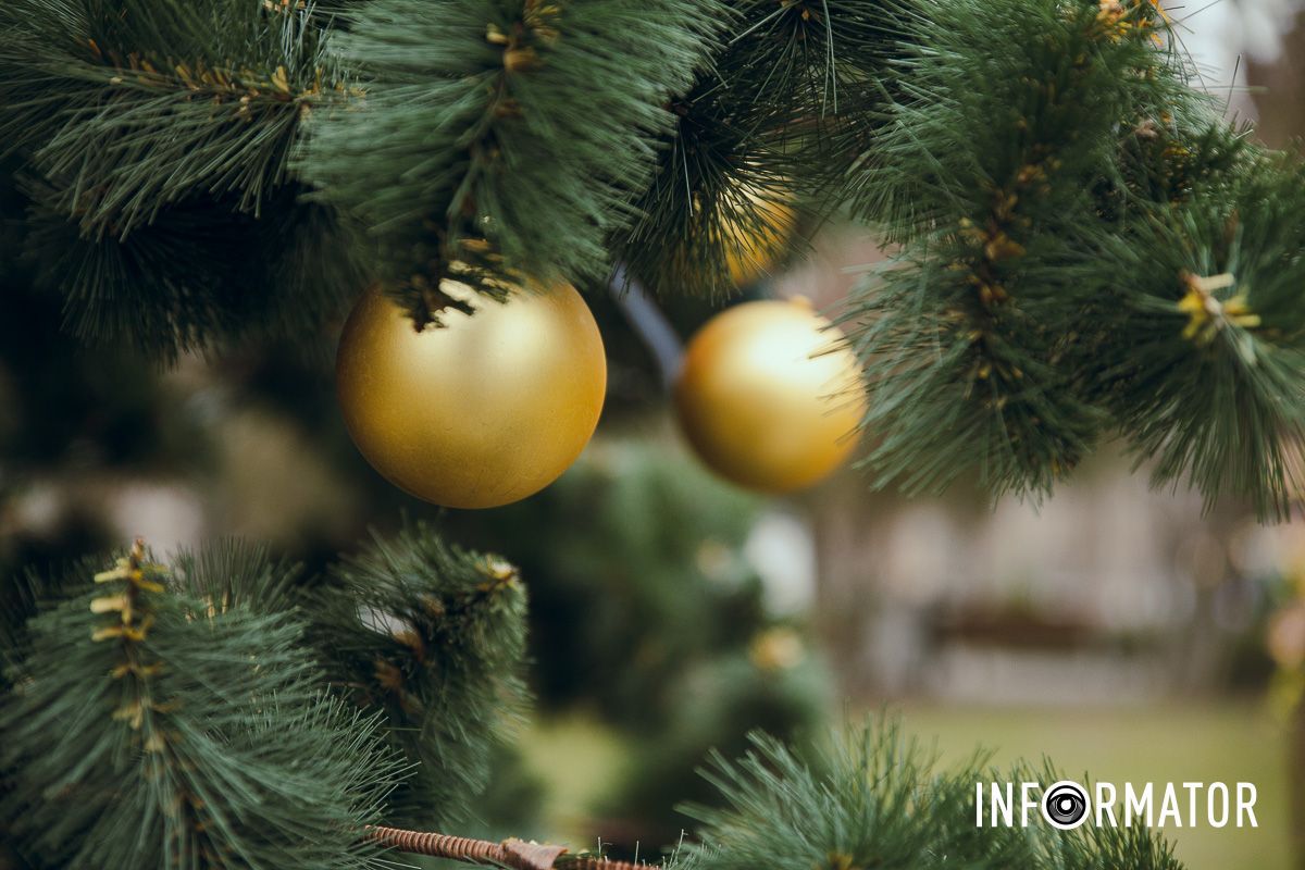 У Дніпрі у Новокодацькому парку встановили новорічну ялинку та урочисто її відкрили 6