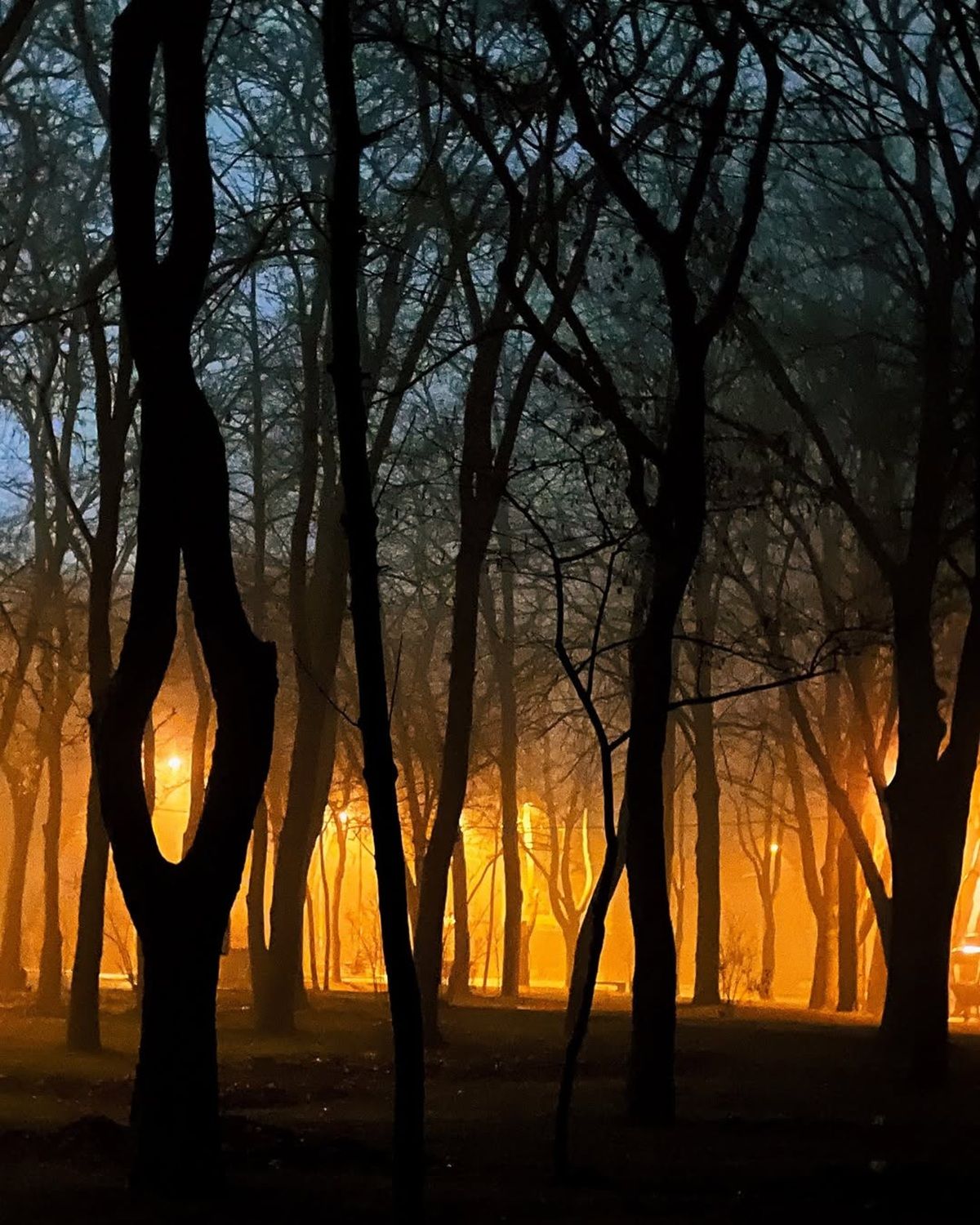 Остання субота у 2024 році: топ красивих світлин Дніпра з Instagram 1